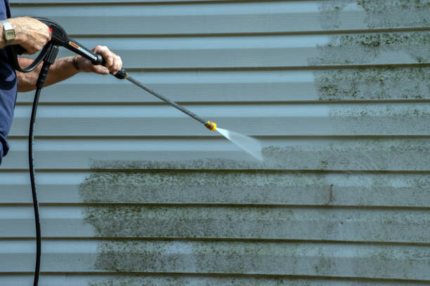 Best Gutter Cleaning  in Farngton, MI